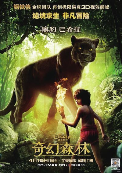 福建高中毕业证书版本